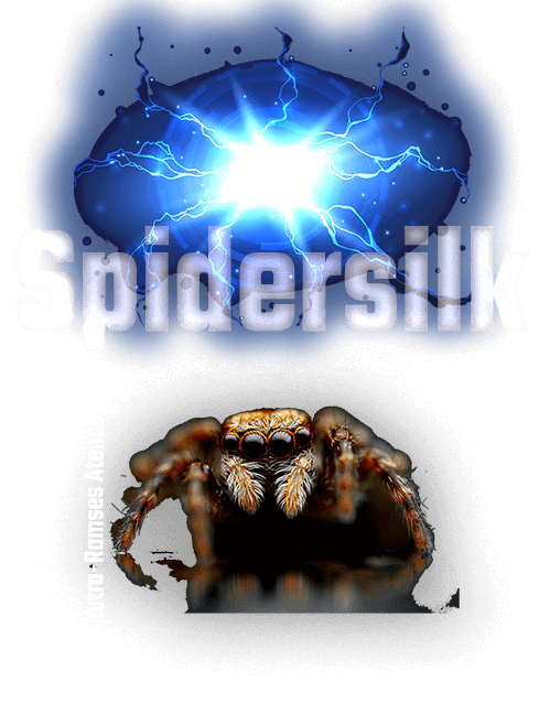 Spidersilk the Movie